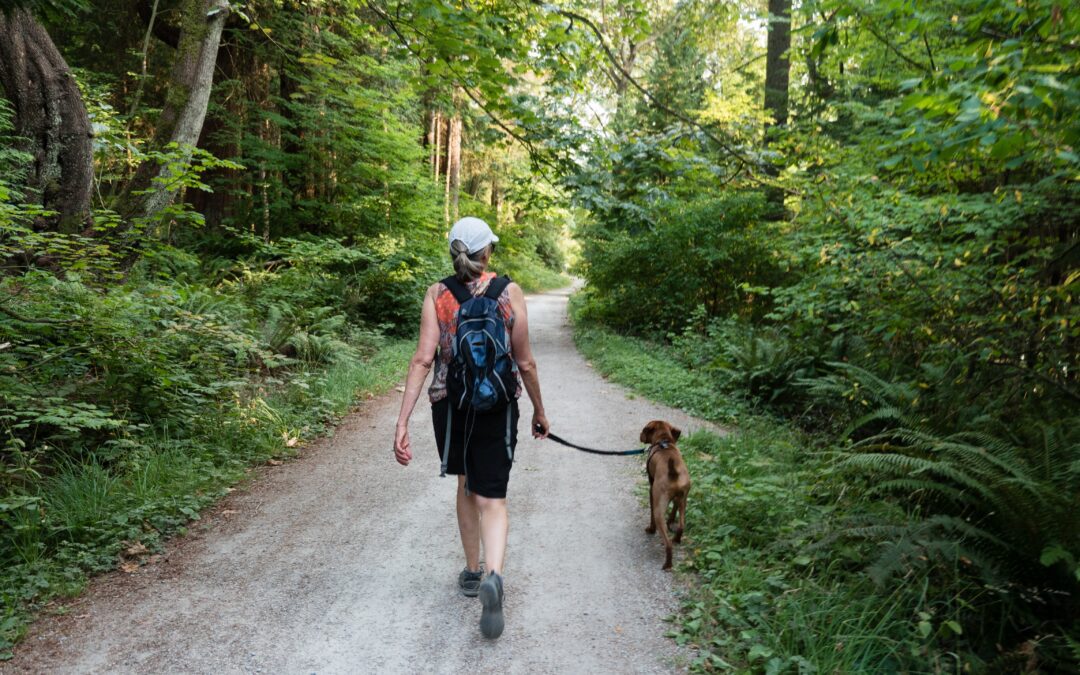 Ensure Your Furry Friend’s Protection During Outdoor Strolls